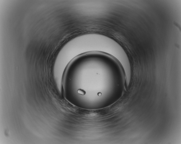 X0000099480312200805231901