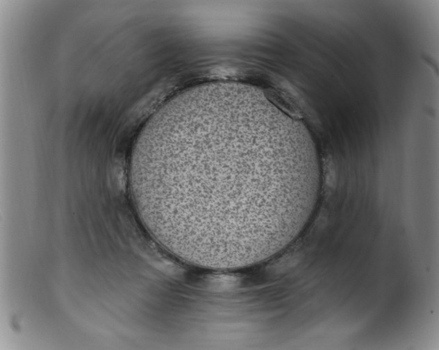 X0000099480313200805231901