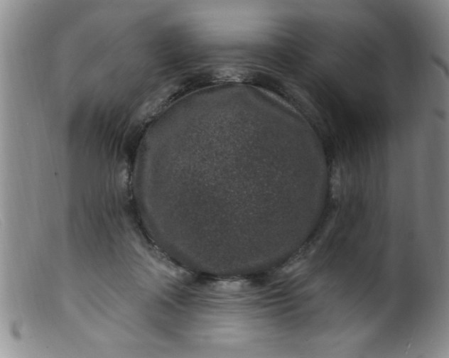 X0000099480314200805231901