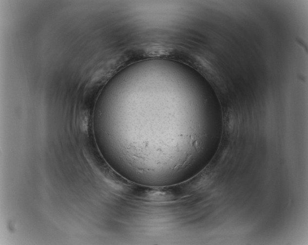 X0000099480315200805231901