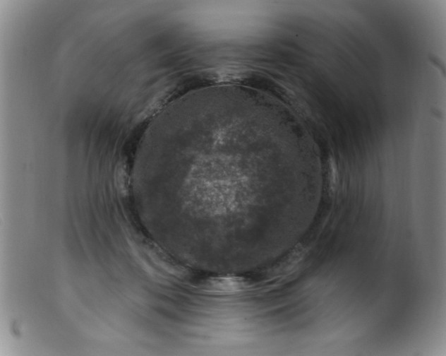 X0000099480316200805231901