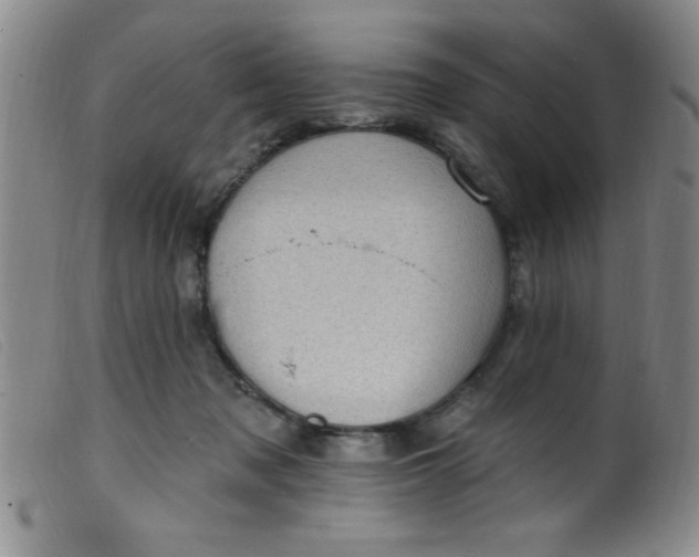 X0000099480317200805231901