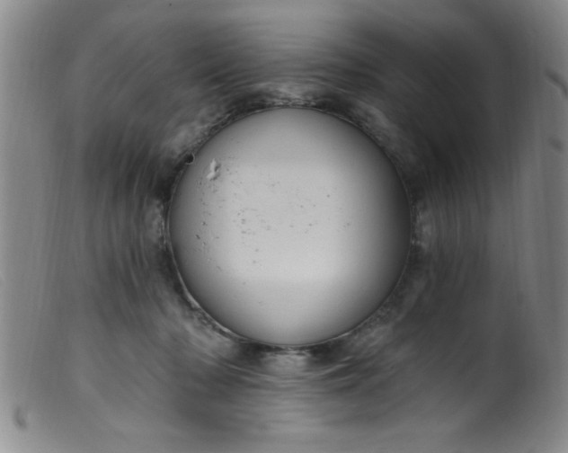 X0000099480318200805231901