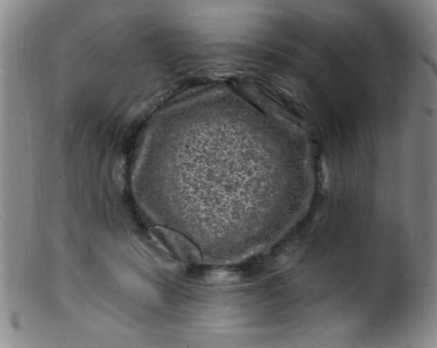 X0000099480319200805231901