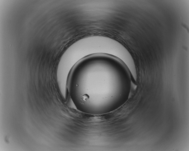 X0000099480320200805231901