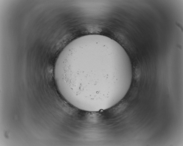 X0000099480321200805231901