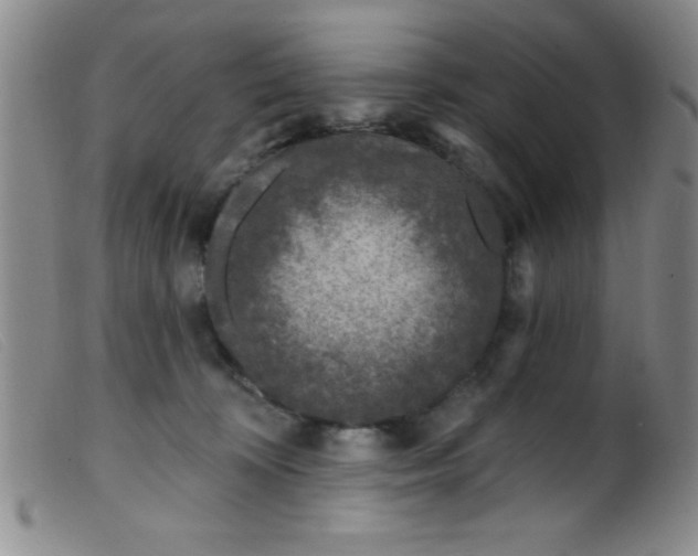 X0000099480324200805231901