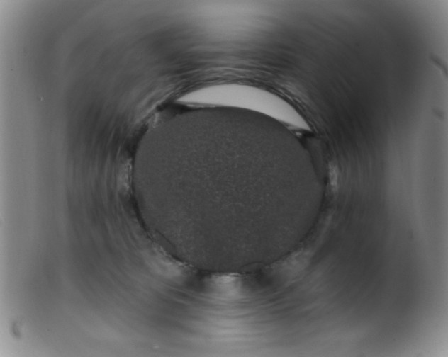 X0000099480325200805231901