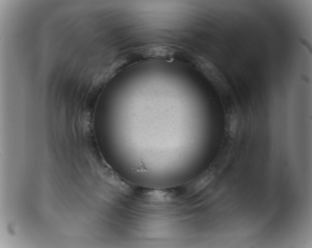 X0000099480326200805231901