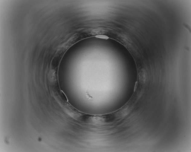 X0000099480327200805231901