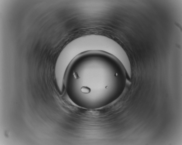 X0000099480328200805231901