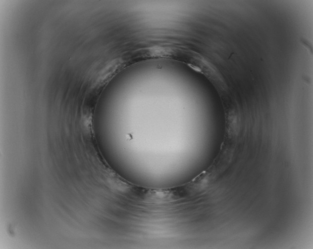 X0000099480329200805231901