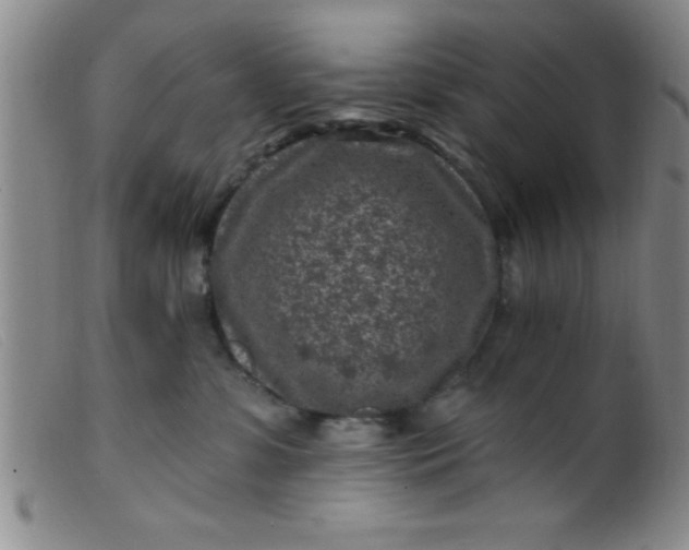 X0000099480331200805231901