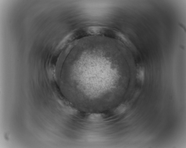 X0000099480332200805231901