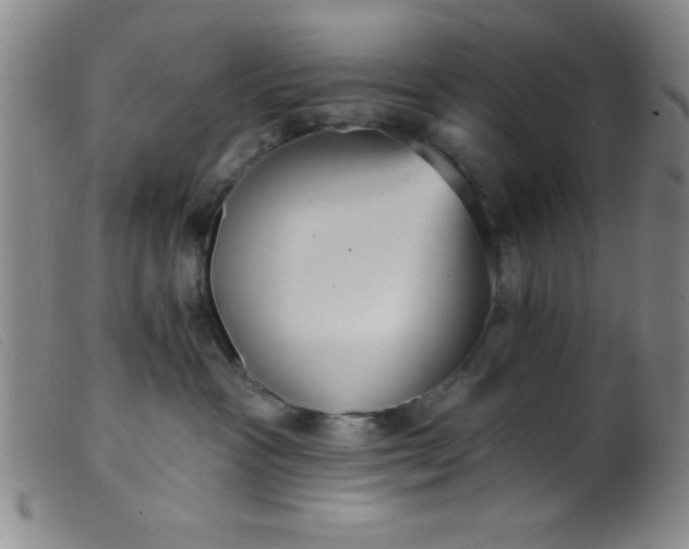 X0000099480333200805231901