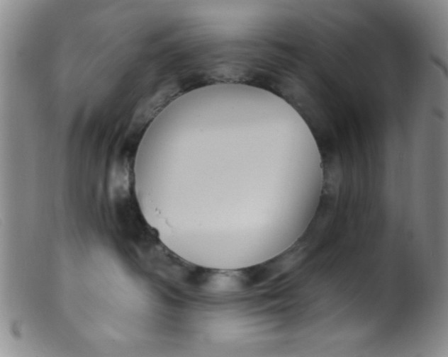 X0000099480334200805231901