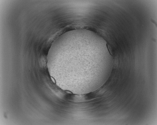 X0000099480335200805231901