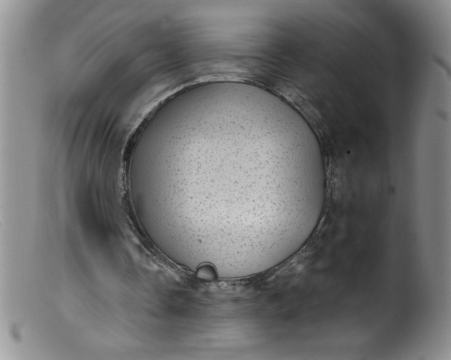 X0000099480338200805231900