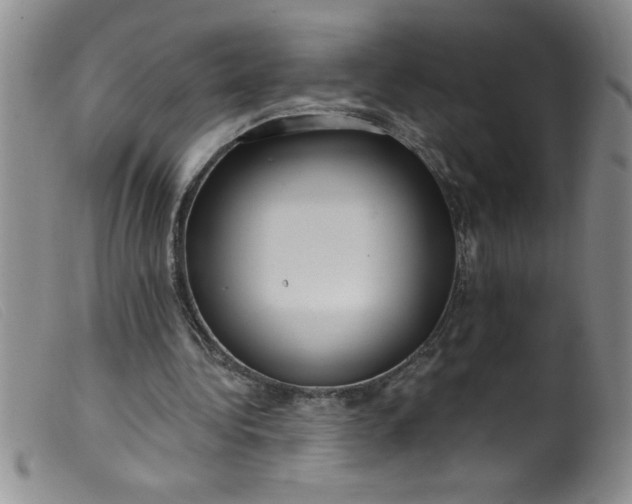 X0000099480340200805231900