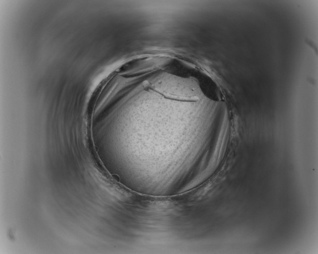 X0000099480342200805231900