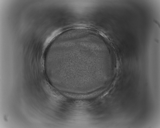 X0000099480343200805231900