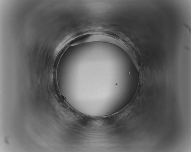 X0000099480344200805231900