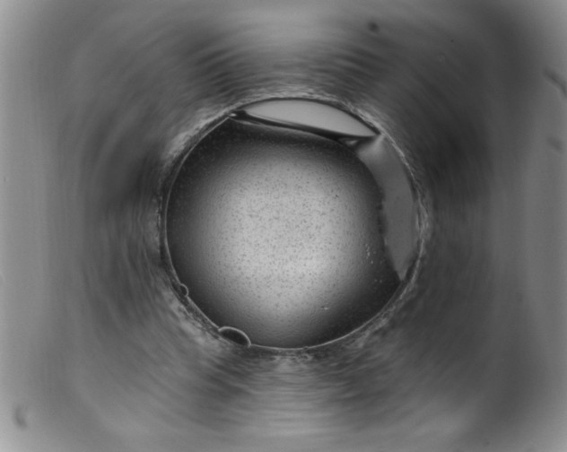 X0000099480345200805231900