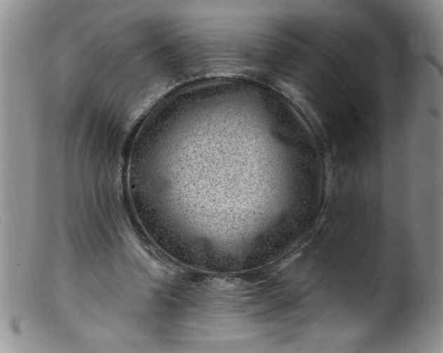 X0000099480346200805231900