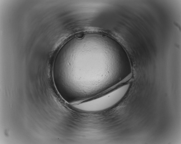 X0000099480347200805231900