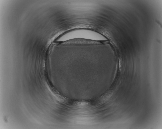 X0000099480348200805231900