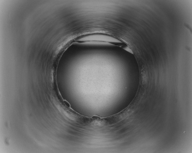 X0000099480350200805231901