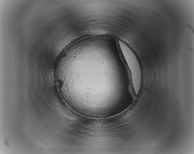 X0000099480351200805231901