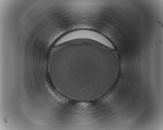 X0000099480352200805231901