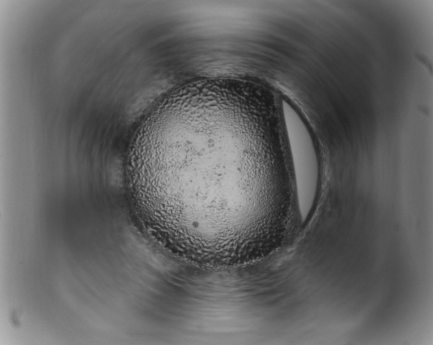 X0000099480353200805231901