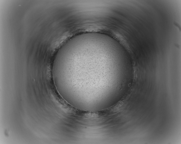 X0000099480354200805231901