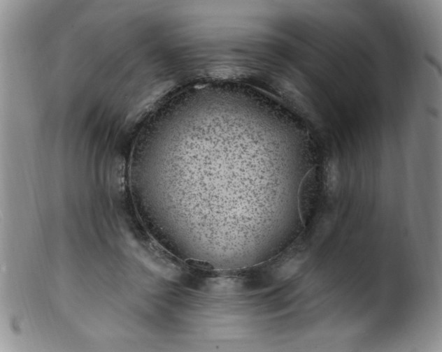 X0000099480356200805231901