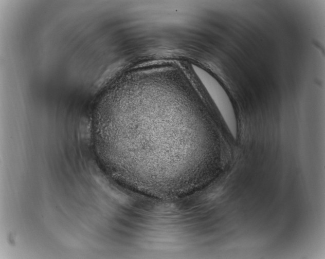 X0000099480357200805231901