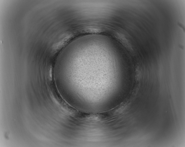 X0000099480358200805231901