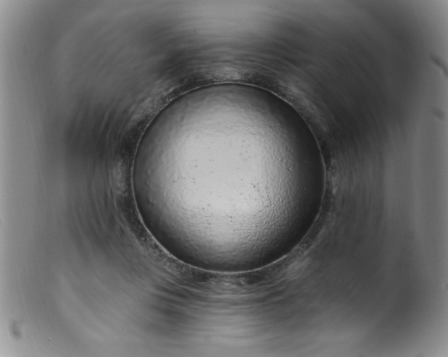 X0000099480359200805231901