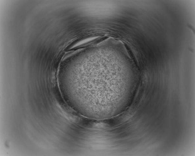 X0000099480360200805231901