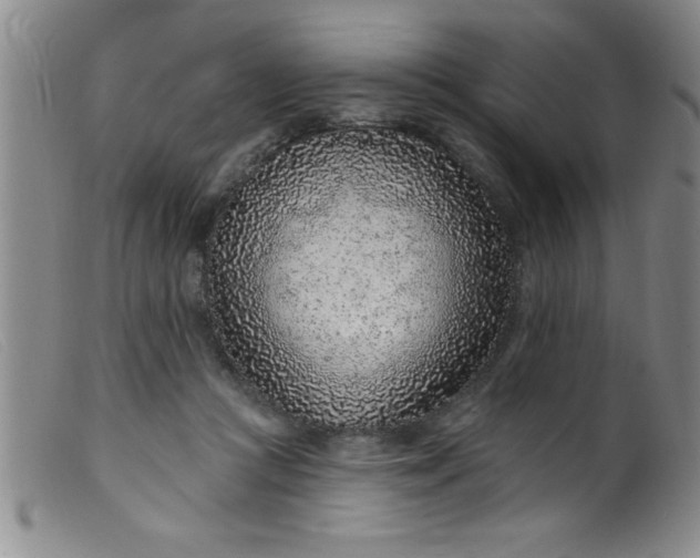 X0000099480361200805231901