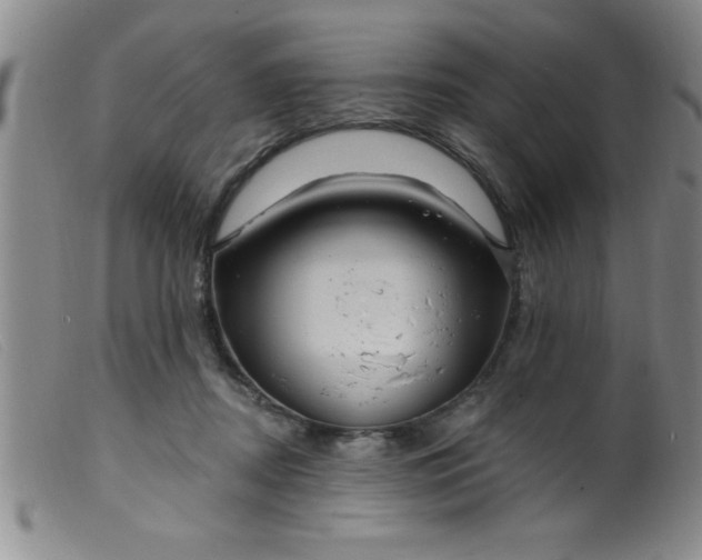 X0000099480362200805231901