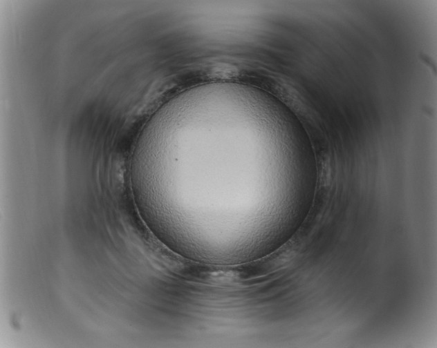 X0000099480363200805231901