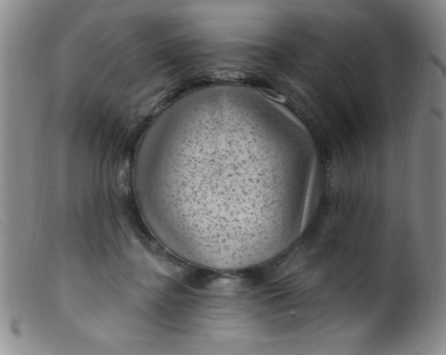 X0000099480364200805231901