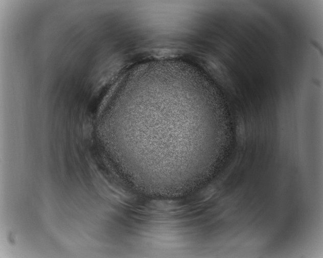 X0000099480367200805231901