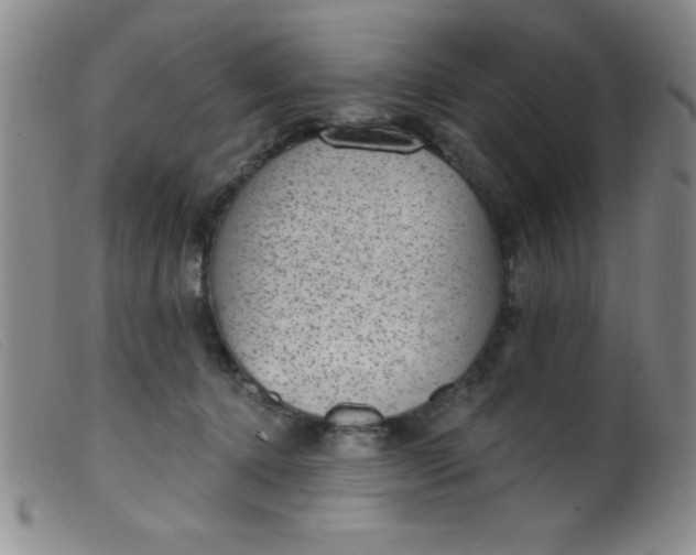 X0000099480368200805231901