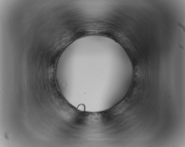 X0000099480369200805231901