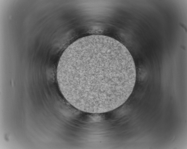 X0000099480370200805231901