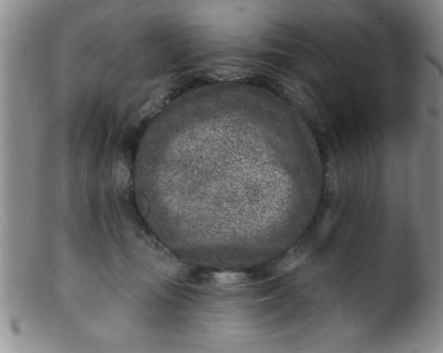 X0000099480371200805231901