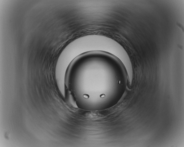 X0000099480372200805231901